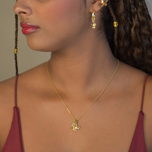 Conjunto elefante