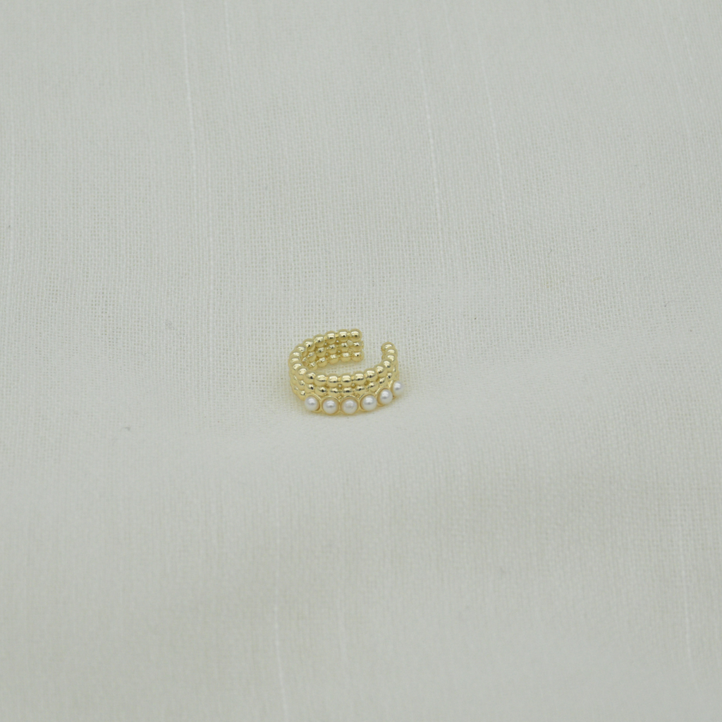 Ear perlita