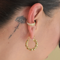 Ear perlita