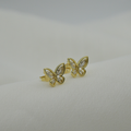 Topo mariposa